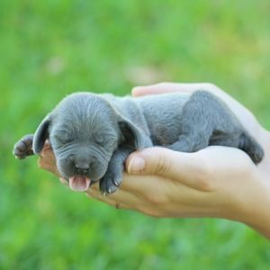 Meet your Posher, Whitney